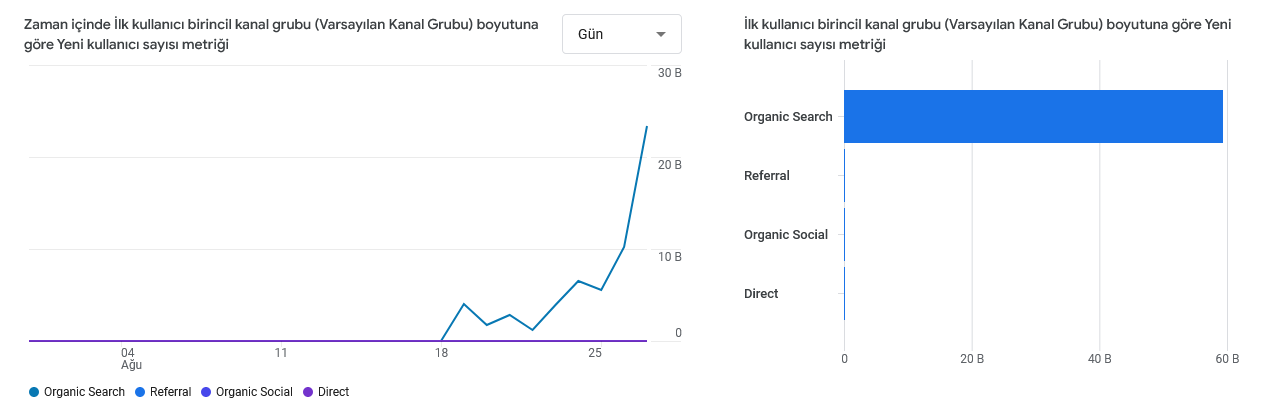 Screenshot-2024-08-28-at-22-33-45-Analytics-Kullanici-edinme-Ilk-kullanici-birincil-kanal-grubu-Varsayilan-Kanal-Grubu-1.png